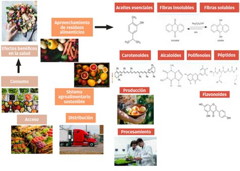 Esquema de los componentes bioactivos (MFGM, osteopontina y alfa-lactoalbúmina) presentes en la fórmula de Blemil Plus 2 Optimum