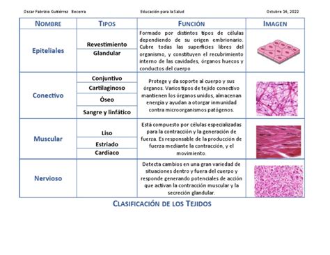 Tabla comparativa de tejidos según la temporada y el tipo de evento