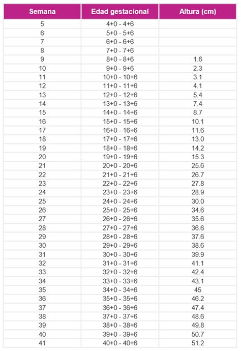 Tabla con las medidas aproximadas de longitud y peso del feto semana a semana, desde la semana 28 hasta la 40.