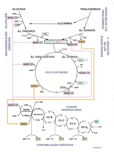 Esquema de las rutas para conseguir Losas de Titanita en el Castillo de Lothric
