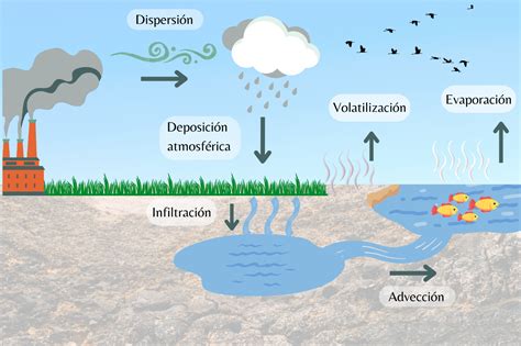 Infografía sobre cómo los contaminantes ambientales (químicos y humo) atraviesan la placenta