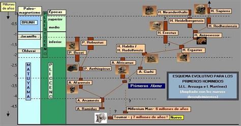 Esquema evolutivo de los Xenomorfos desde el patógeno negro hasta el Protomorpho