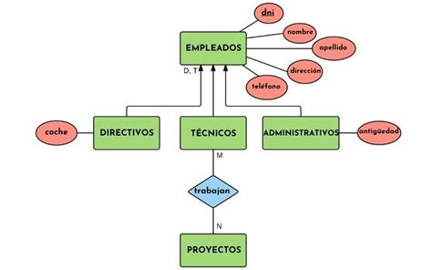 Esquema o diagrama de la relación entre anemia en cerdas y la mortalidad fetal