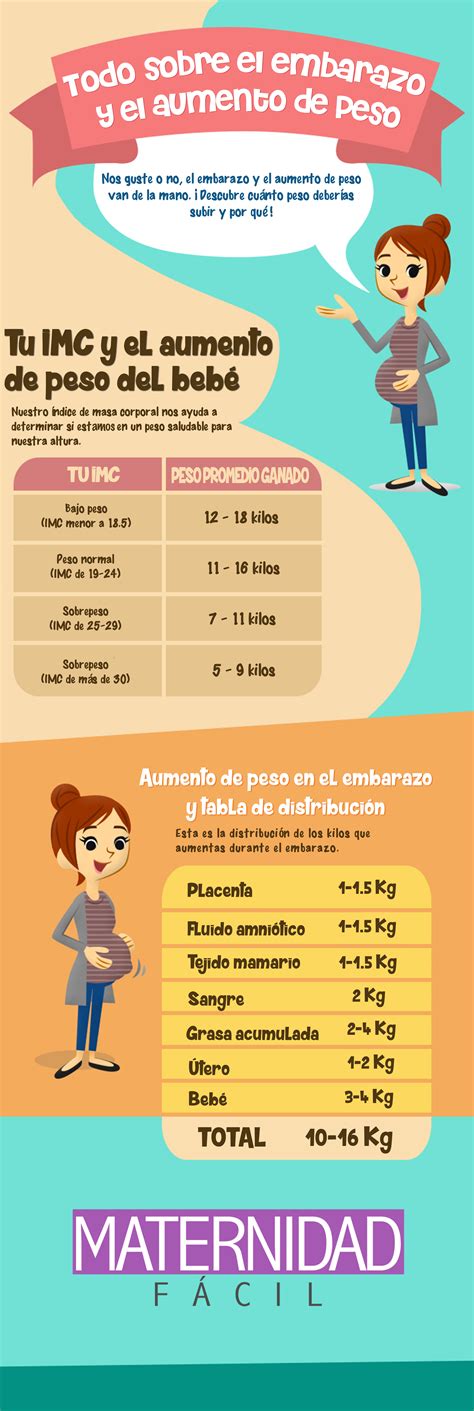 infografía mostrando el desglose del aumento de peso durante un embarazo gemelar: bebés, placenta, líquido amniótico, mamas, volumen sanguíneo, depósitos de grasa y útero