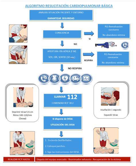 Infografía que ilustra la secuencia de pasos de la RCP básica en lactantes, incluyendo posición de manos y vía aérea.