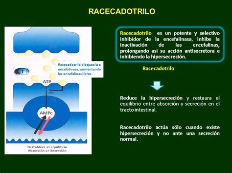 esquema del mecanismo de acción antisecretor de racecadotrilo en el intestino