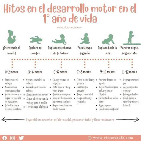 Infografía de hitos del desarrollo motor fino: desde la prensión palmar hasta la pinza digital