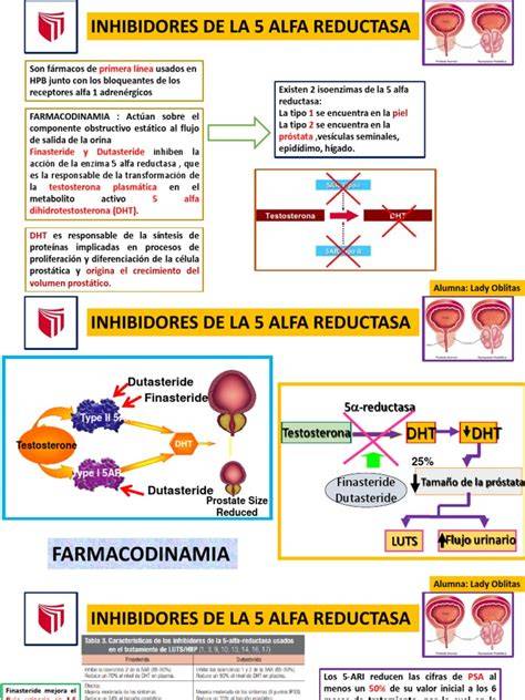 Esquema de la enzima 5-alfa-reductasa y su inhibición por fármacos