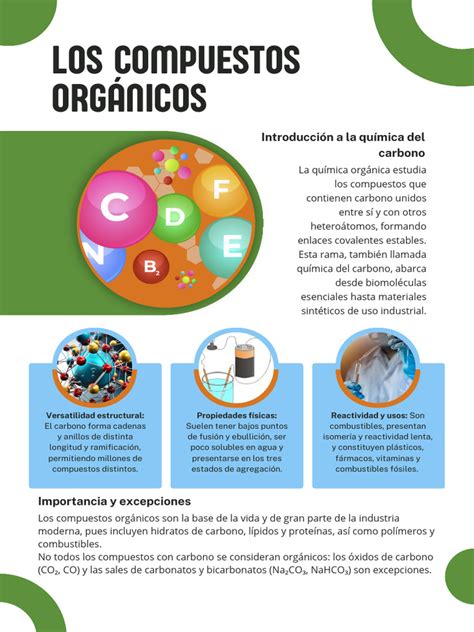 Infografía comparativa: fertilizantes orgánicos naturales frente a compuestos químicos nitrogenados