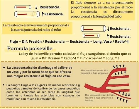 Infografía comparativa: flujo sanguíneo normal frente a flujo con resistencias elevadas en arterias umbilicales