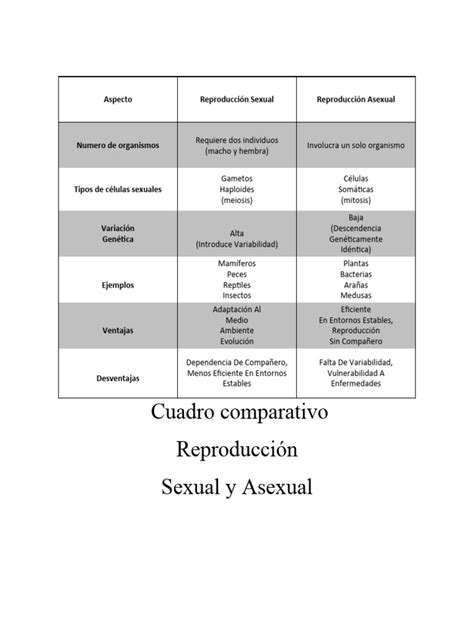 Esquema conceptual: Comparativa entre reproducción lineal y reproducción inversa (efecto rebobinado).