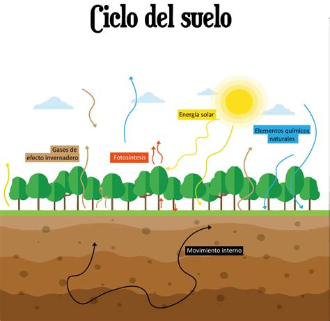 Esquema que muestra el ciclo de los nutrientes desde el origen natural (compost, estiércol, algas) hasta la mejora de la estructura del suelo y el crecimiento de las plantas.