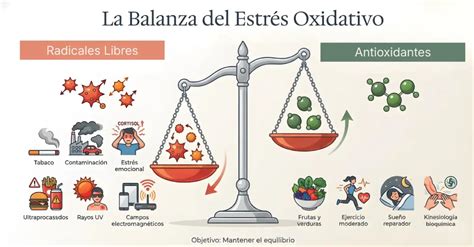 Esquema de las causas y efectos del estrés oxidativo a nivel celular