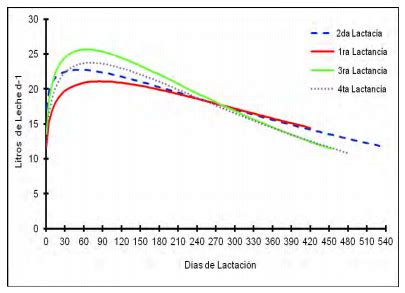 Gráfico de una curva de lactancia típica en vacas, mostrando el incremento inicial, el pico de producción y la declinación gradual a lo largo de los días en lactancia.