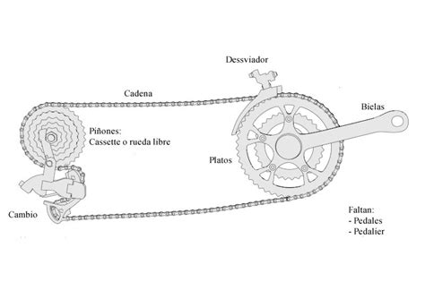 Esquema detallado de los componentes de una transmisión de bicicleta (cadena, bielas, cassette y desviadores)