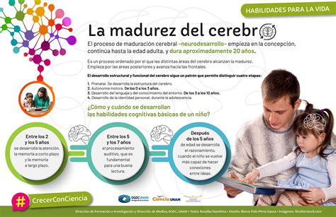 Infografía que ilustra el proceso evolutivo de maduración neurológica y física necesaria para el control de esfínteres en niños.
