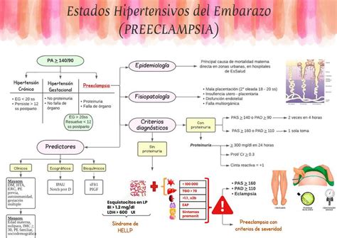 Gráfico explicativo de la preeclampsia posparto, mostrando la línea de tiempo desde el embarazo hasta el posparto y los posibles riesgos.