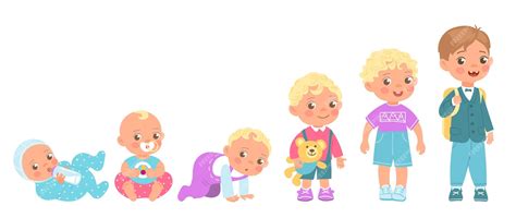 Esquema de las etapas de crecimiento de un niño y las sillas de coche correspondientes