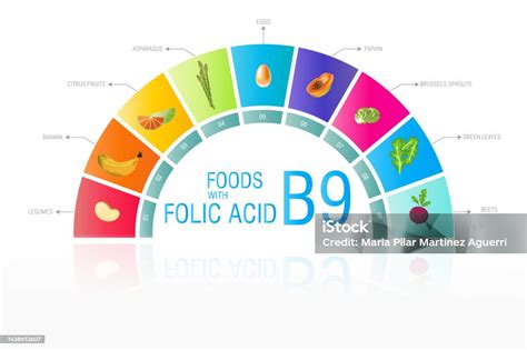 Infografía sobre fuentes de ácido fólico en alimentos