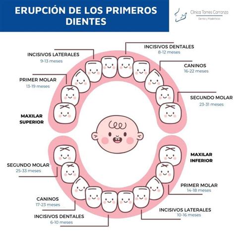 Bebé sonriente con los primeros dientes asomando