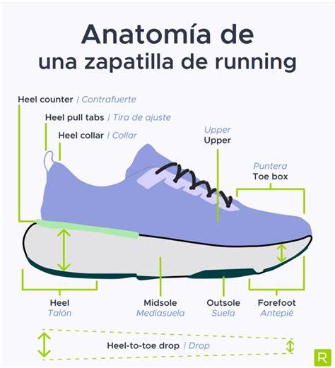 Infografía mostrando las partes anatómicas de una zapatilla Joma: suela DURABILITY, refuerzos, plantilla y sistema de cierre.