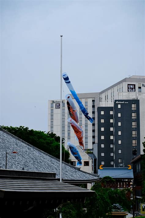 Foto de koinobori ondeando al viento en Japón