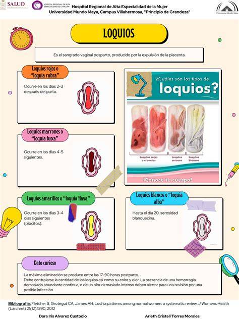 Gráfico explicando la duración y características de los loquios postparto