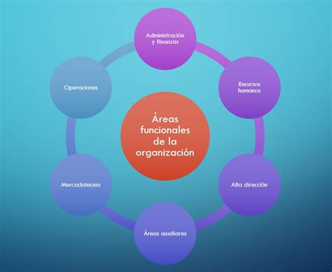 Esquema de las áreas de actividad de un centro de educación infantil: aula, zona de juegos, comedor y áreas administrativas