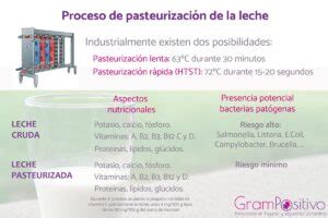 esquema comparativo entre procesos de pasteurización industrial frente a cocina casera