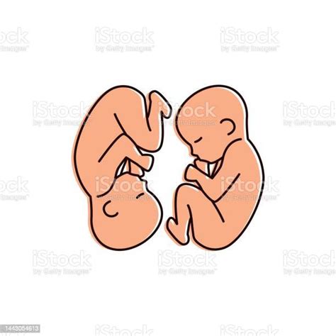 Ilustración de gemelos recién nacidos
