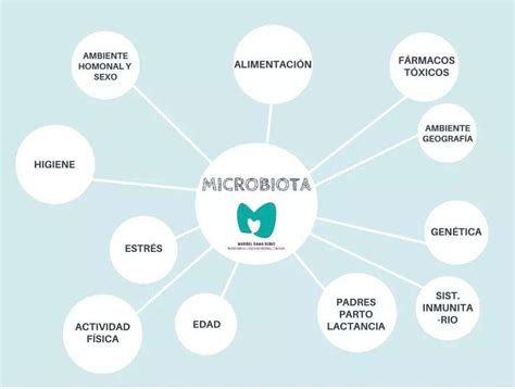 Infografía comparativa: Factores que influyen en la microbiota del recién nacido (parto, dieta, probióticos).
