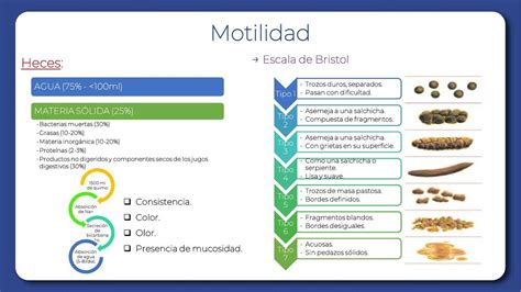 infografía comparativa de la frecuencia y consistencia de las heces en bebés amamantados y con fórmula