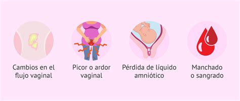 Esquema de las secreciones vaginales normales durante el embarazo