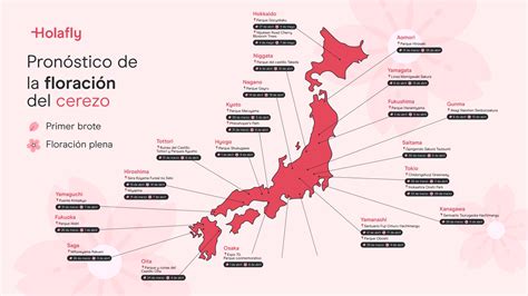 Mapa cultural de Japón con elementos tradicionales como cerezos en flor y caligrafía japonesa