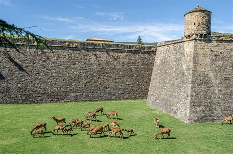 Fotografía de la Ciudadela de Jaca y su foso