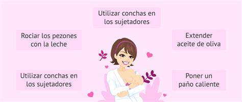 Esquema anatómico mostrando las causas comunes de dolor en el pecho durante la lactancia (conductos obstruidos, mal agarre, mastitis)