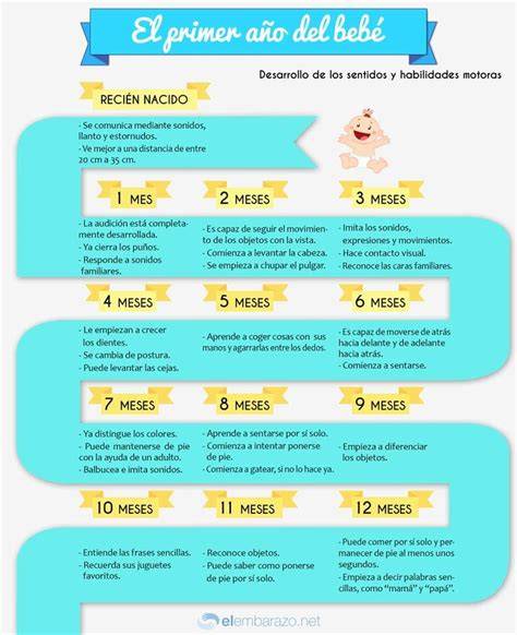Infografía de hitos del desarrollo del bebé mes a mes.