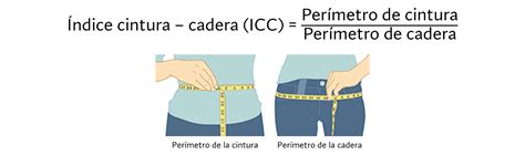 infografía con diagramas de medición corporal infantil: altura, pecho, cintura, cadera y pie