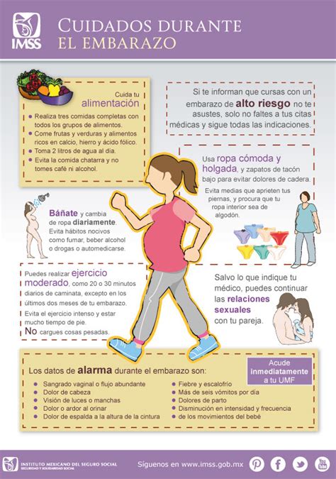 Infografía sobre cuidados respiratorios y seguridad de productos naturales durante el embarazo