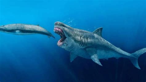 Reconstrucción artística de un Megalodón cazando una ballena antigua