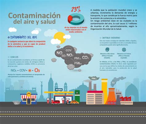 Infografía que muestra los contaminantes del aire que absorbe el Spathiphyllum y su ubicación ideal en los dormitorios