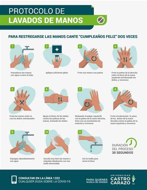 Esquema visual sobre el lavado de manos correcto y el uso de cepillos suaves para frutas de cáscara dura