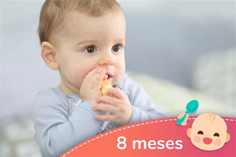 Bebé de 8 meses explorando alimentos sólidos con las manos