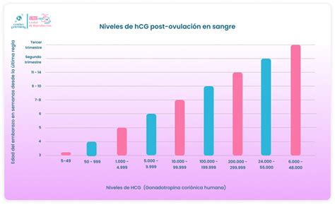 Infografía: Niveles de hCG en el embarazo y cómo influyen en la detección de un falso negativo por prueba temprana