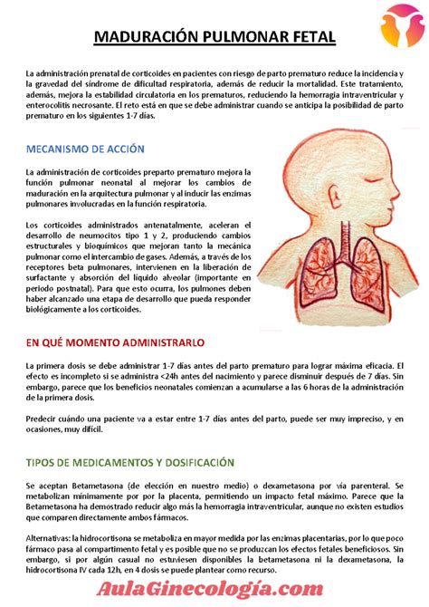 Infografía: Momentos clave y riesgos de la administración de corticosteroides para la maduración pulmonar fetal.