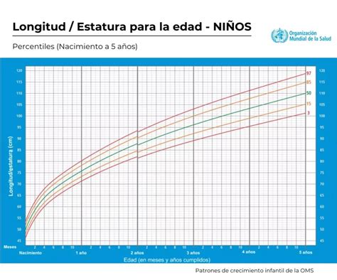 Infografía de las curvas de crecimiento de perímetro craneal por percentiles