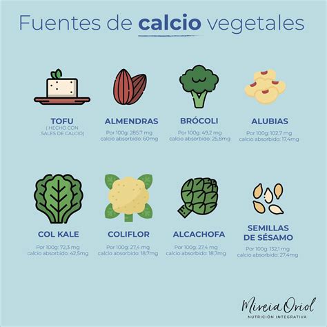 Infografía: Fuentes alimentarias de calcio