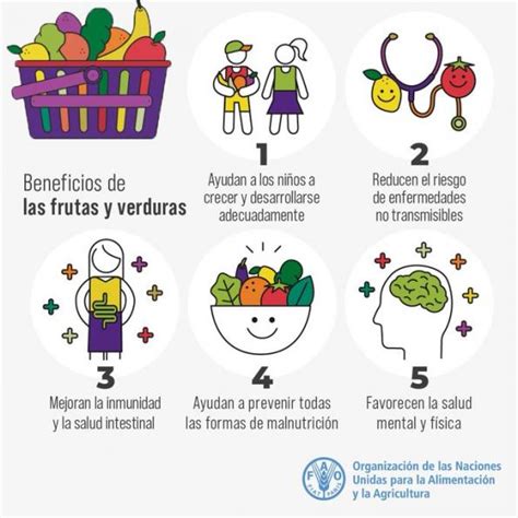 Infografía detallando los beneficios para la salud de la paterna, con iconos representativos para cada propiedad.