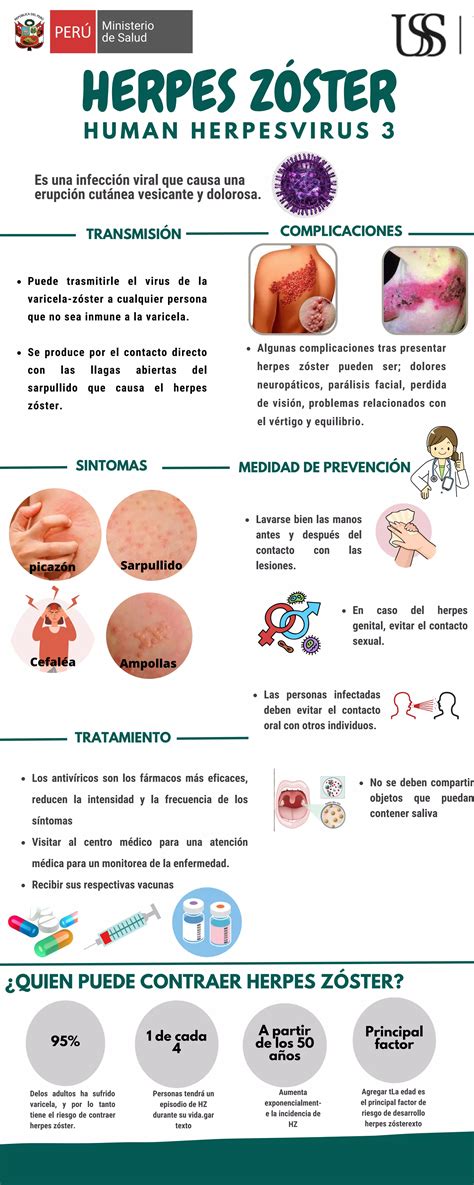 Esquema del ciclo de vida del virus varicela-zóster y su reactivación como herpes zóster