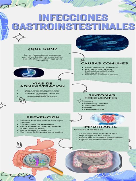 Infografía sobre vías de transmisión de infecciones gastrointestinales como el contacto de manos, alimentos y agua contaminados